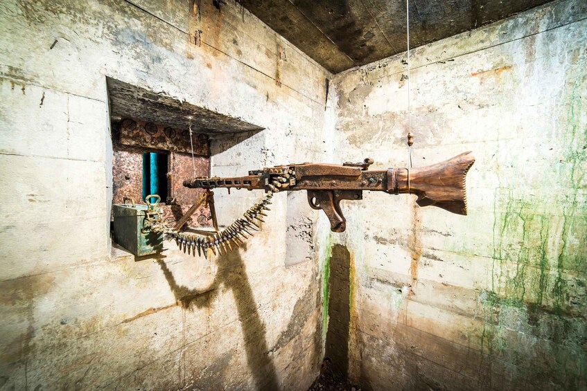 Picture 2 for Activity Wroclaw: WW2 Tour to Project Riese & Gross-Rosen Museum