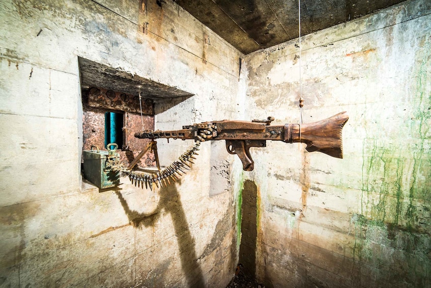 Picture 2 for Activity Wroclaw: WW2 Tour to Project Riese & Gross-Rosen Museum