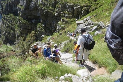 Hiking and Trekking on Table Mountain with Transport