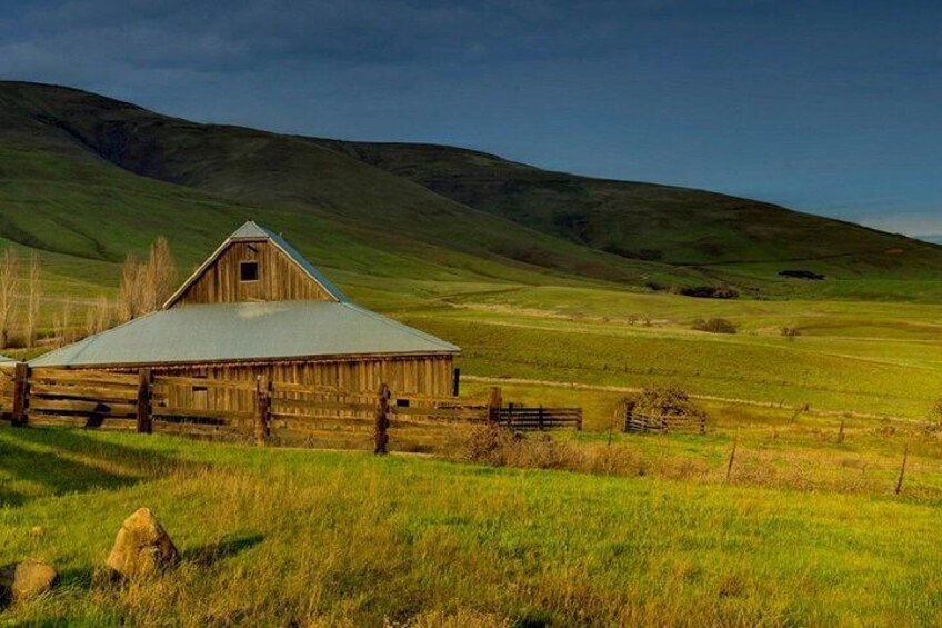 Columbia Gorge Waterfalls & Wineries from Portland: All-Inclusive Afternoon Tour