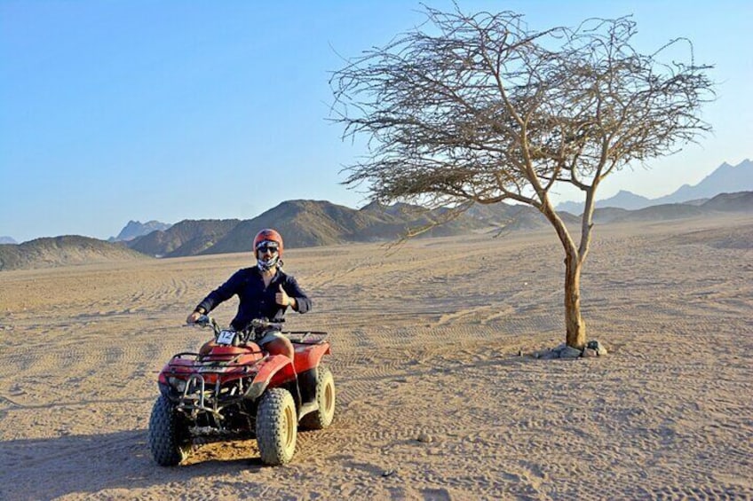 Safari Adventure ATV, Buggy, Camel, Bedouin dinner in Hurghada