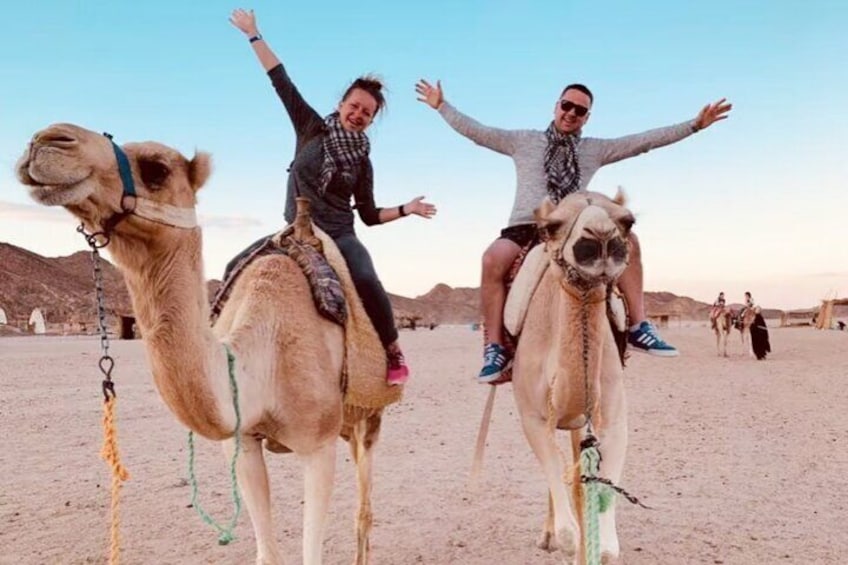 Safari Adventure ATV, Buggy, Camel, Bedouin dinner in Hurghada
