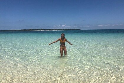 Prison Island & Spice Market Tour, Lunch & Transfer - Zanzibar