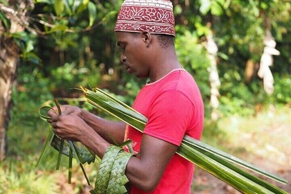 Jozani Forest, Stone Town & Spice Market Tour Full Day - Zanzibar