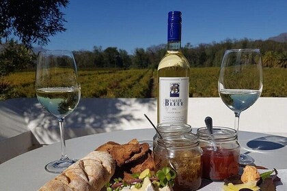 Cape Town Private Tour Robben Island and Constantia Wine Tasting