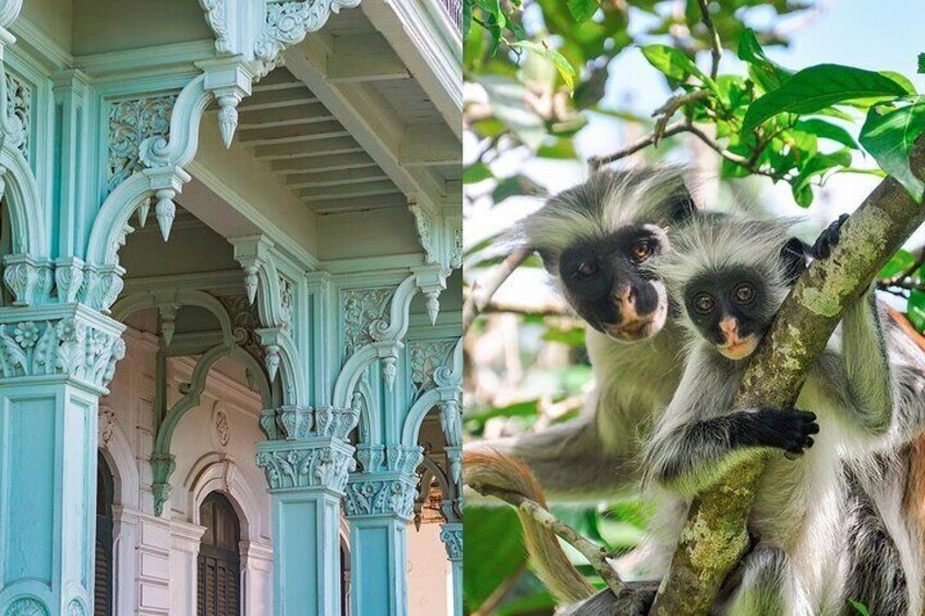 Josani Forest & Spice Farm Tour Experience & Transfer - Zanzibar