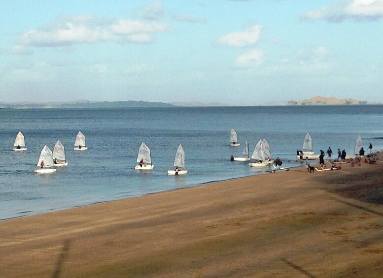 Picture 6 for Activity Auckland: Devonport Waterfront Segway