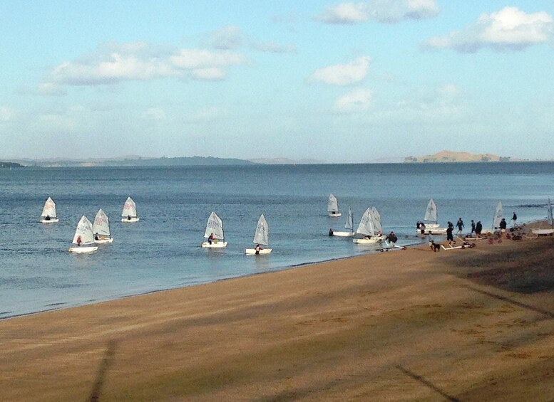 Picture 6 for Activity Auckland: Devonport Waterfront Segway