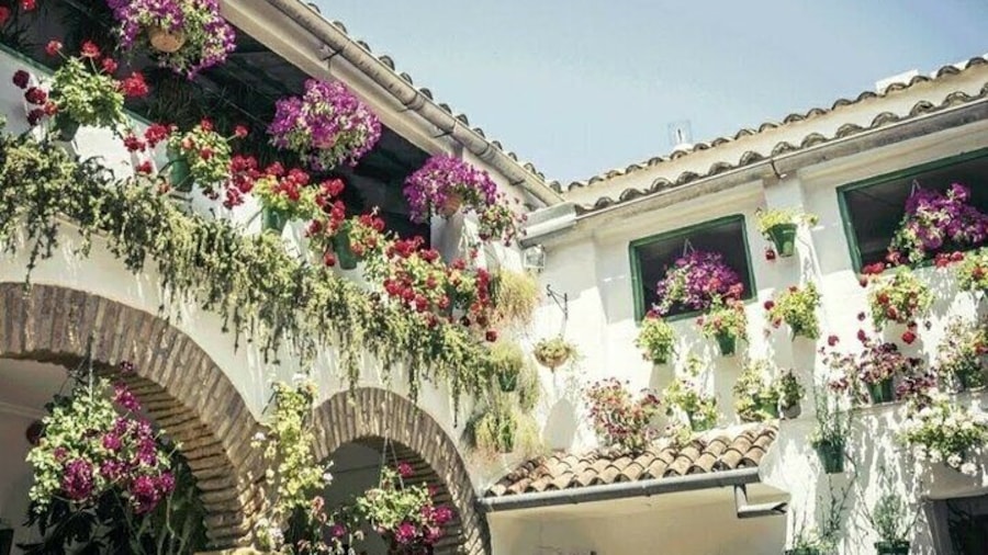 Guided Tour to Discover the Courtyards of Cordoba