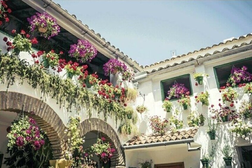 Guided Tour to Discover the Courtyards of Cordoba 
