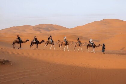 8 Days Desert Exploration Tour from Casablanca