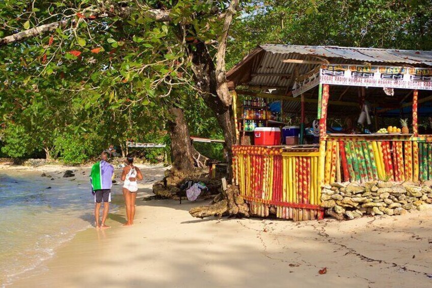 Ocho Rios Blue Hole and Beach with Stops for Lunch and Shopping