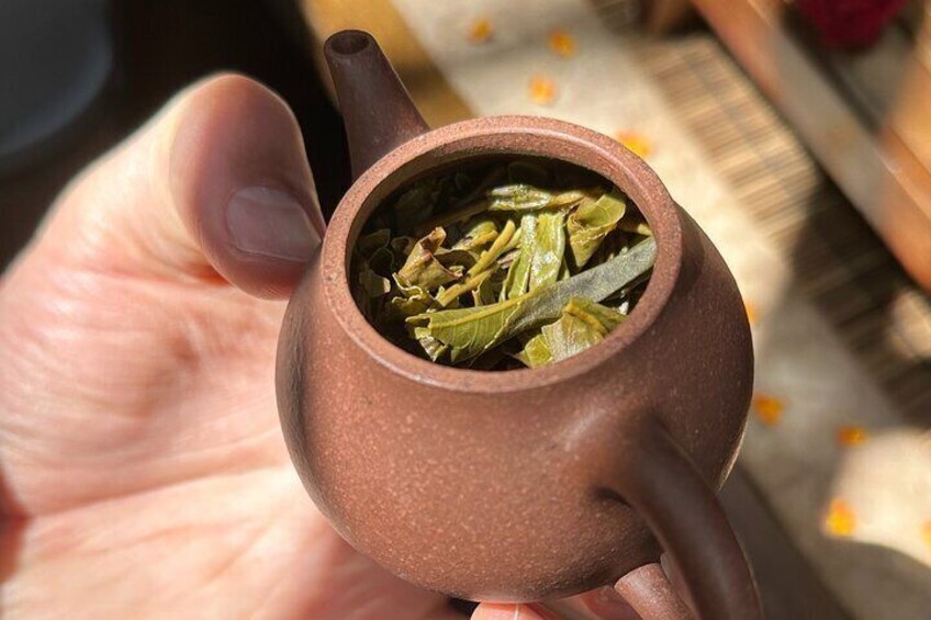 Premium Tea Tasting Experience
