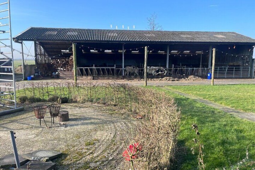 Milk Farm
