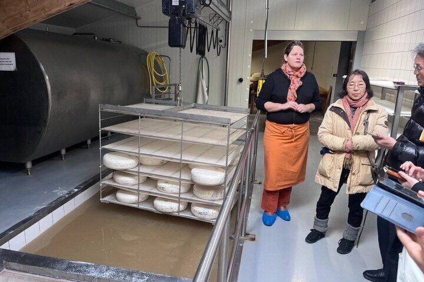 Salt Cheese Bath