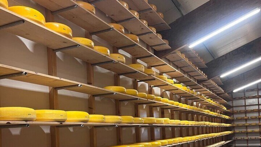 Aging Cheese
