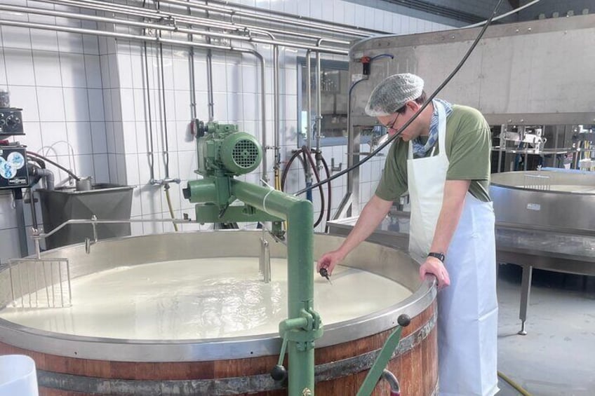 Rotterdam Cheese Farm Experience Kinderdijk Private Max 8 Persons