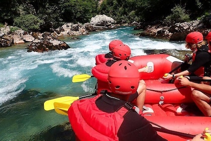 Tara rafting - half day