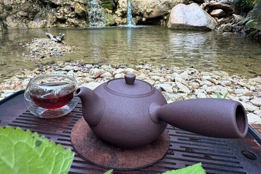 Nature’s Tea Circle Exploring Santa Barbara