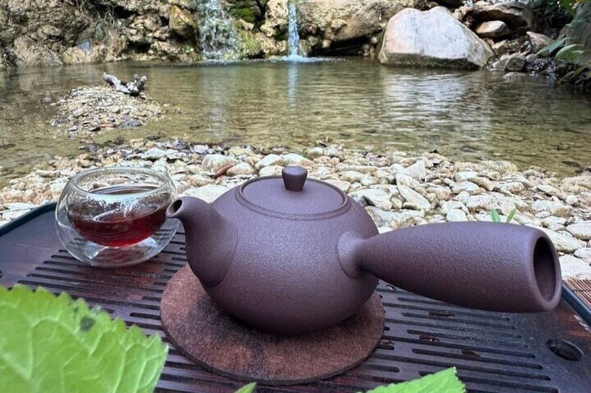 Nature’s Tea Circle Exploring Santa Barbara