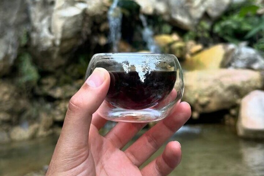  Nature Edition Trail Hike and Tea Ceremony