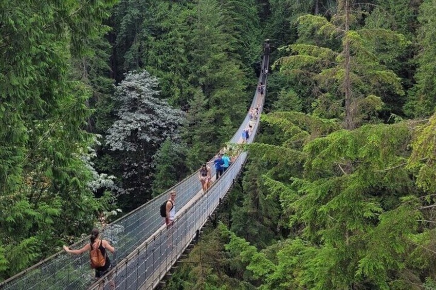 Vancouver City Tour (7 hour)