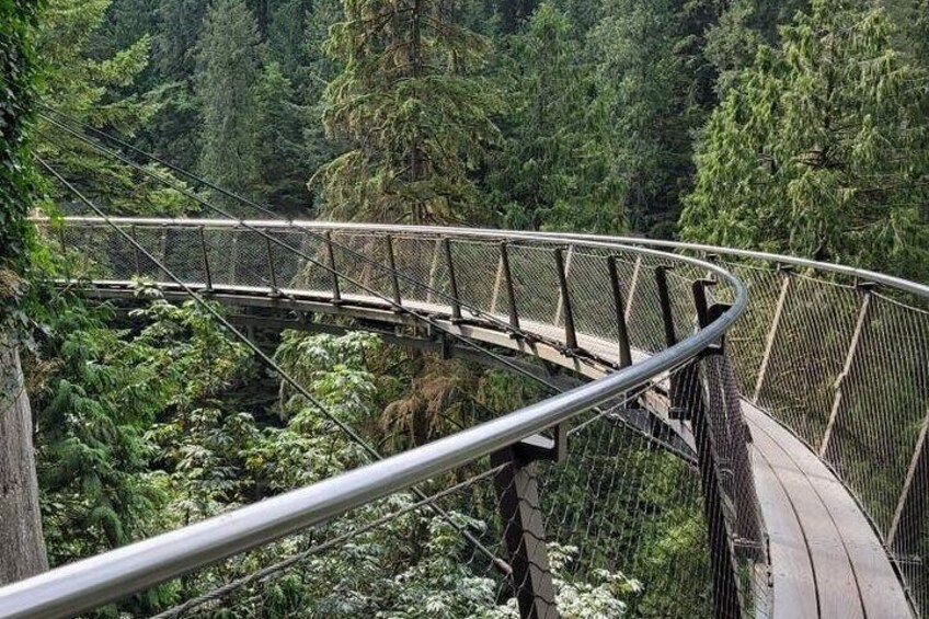 Vancouver City Tour (7 hour)