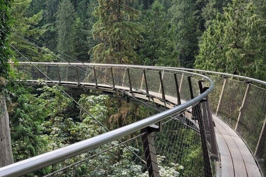 Vancouver City Tour (7 hour)