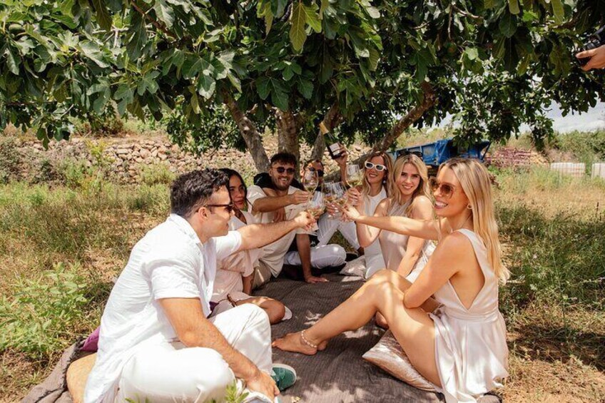 Private Vineyard Horseback Riding with Wine Picnic