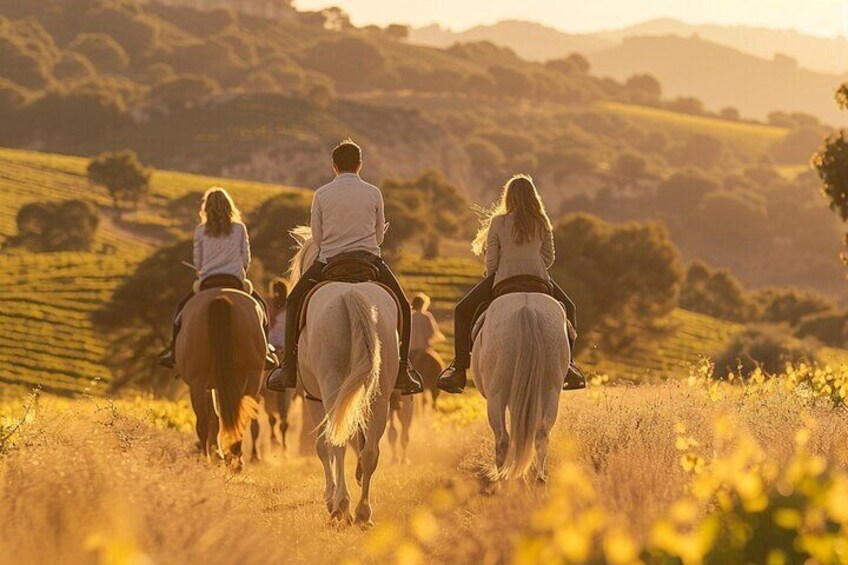 Private Vineyard Horseback Riding with Wine Picnic