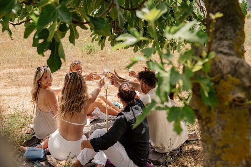 Cape Town: Private Vineyard Horseback Riding with Wine Picnic