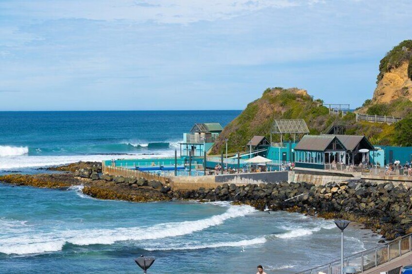 Dunedin City - Settlers & Voyages Tour