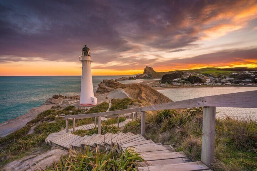 Dunedin City - Settlers & Voyages Tour