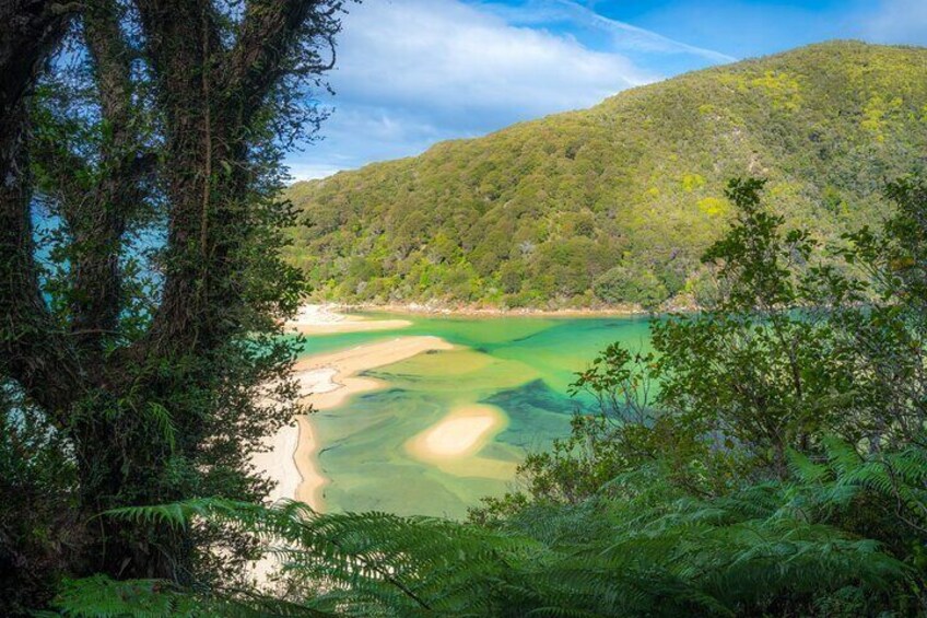 Dunedin City - Settlers & Voyages Tour