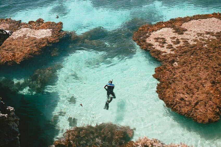Explore the Marine Life with Cathedral Cove Snorkeling Tour