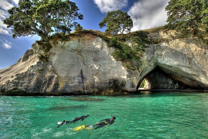 Explore the Marine Life with Cathedral Cove Snorkeling Tour