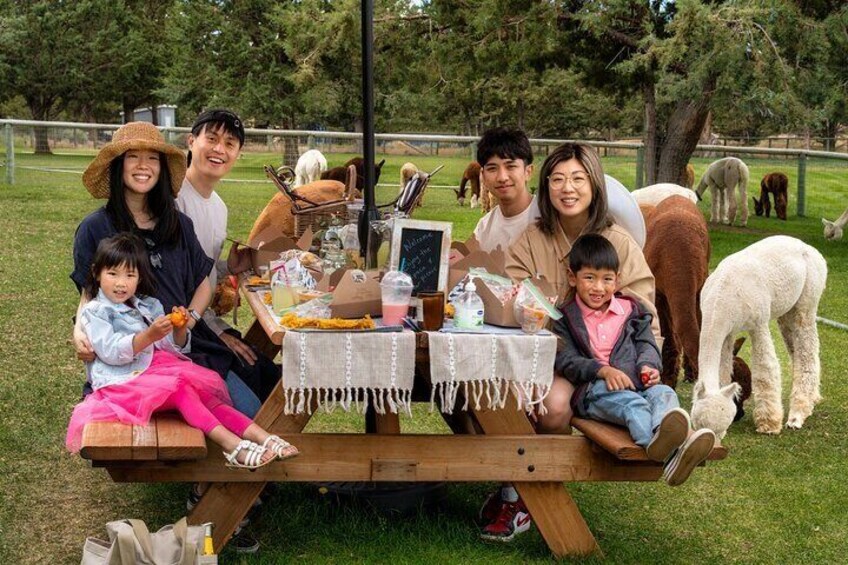Alpaca Picnic Experience in Oregon