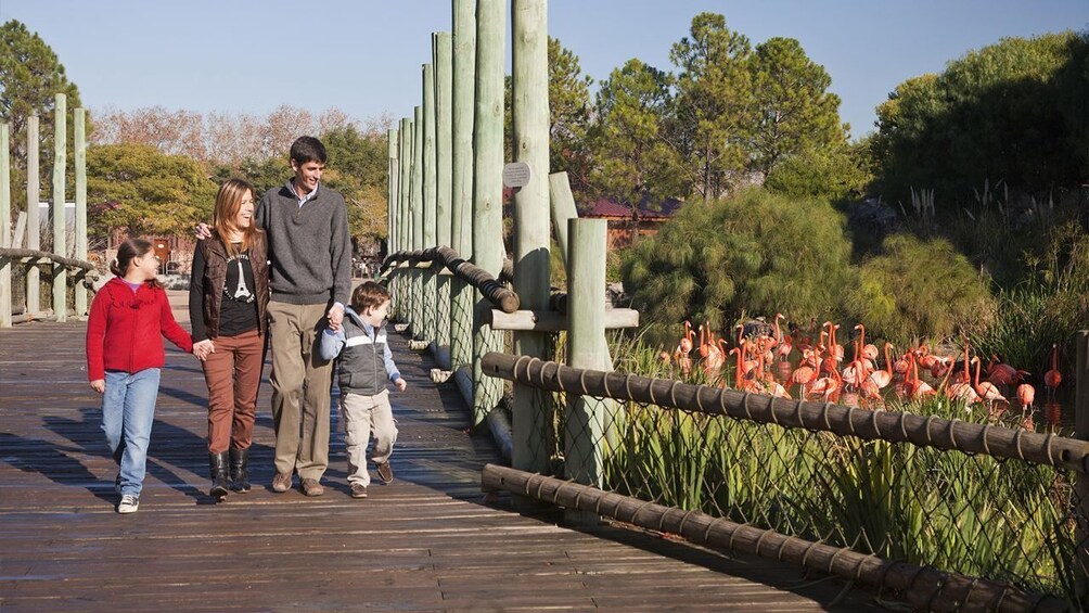 Temaiken Biopark Experience: Admission & Transport