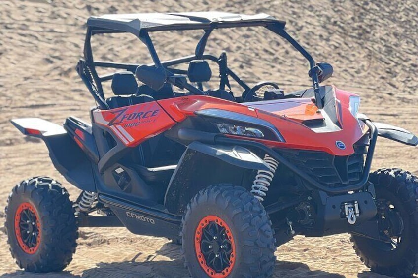 From the Moon to the Ocean Buggy and Breakfast Included