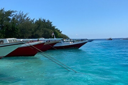 Nakupenda Island Snorkelling trip With Lunch & Transfer - Zanzibar