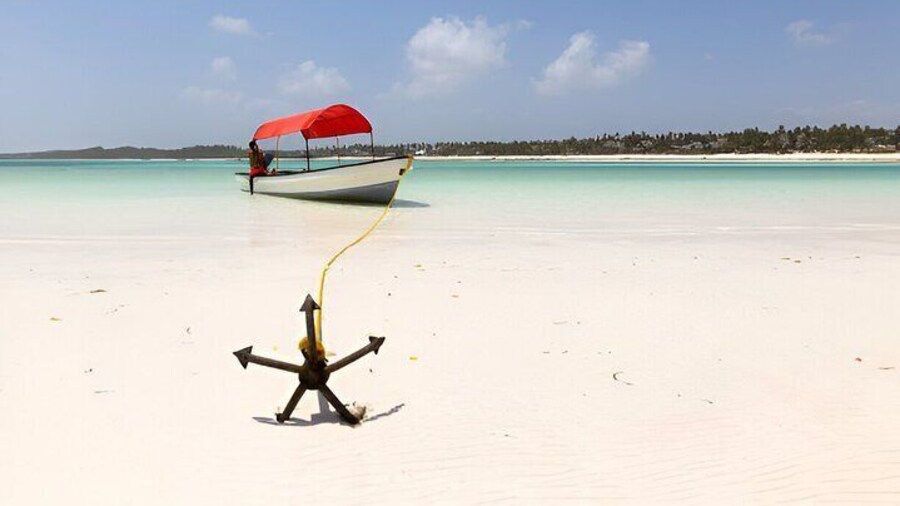Nakupenda Island Snorkeling trip With Lunch & Transfer - Zanzibar