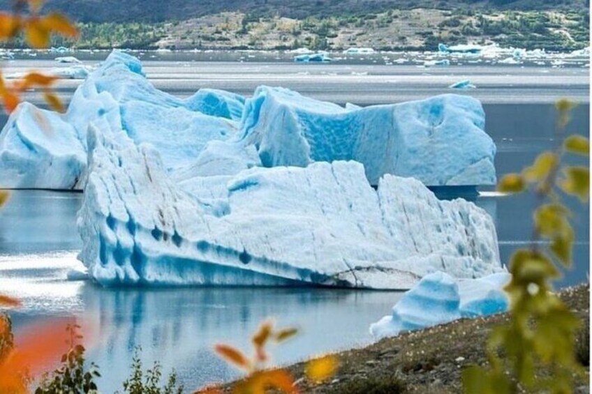 Grand Seward Ocean and Icebergs 1.5 hours 2 Landings Seward