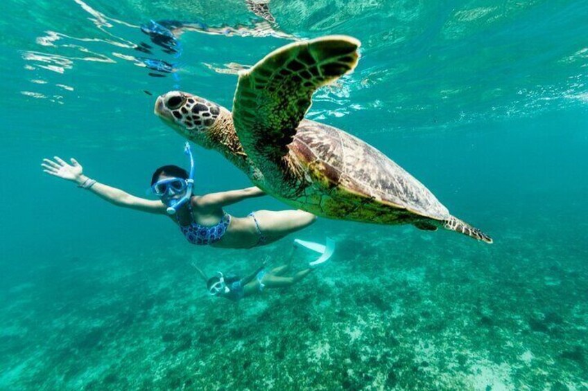 Yanbu Snorkeling Private Activity in Yanbu Saudi Arabia