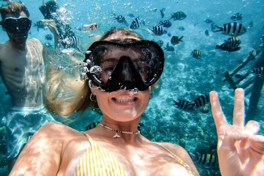 Yanbu Snorkeling Private Activity in Yanbu Saudi Arabia