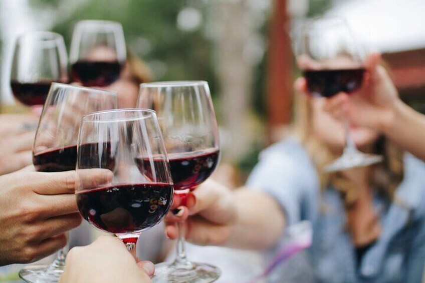 Médoc Wine Route Private Guided Day Tour with Luxury Picnic