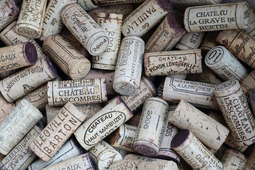Médoc Wine Route Private Guided Day Tour with Luxury Picnic