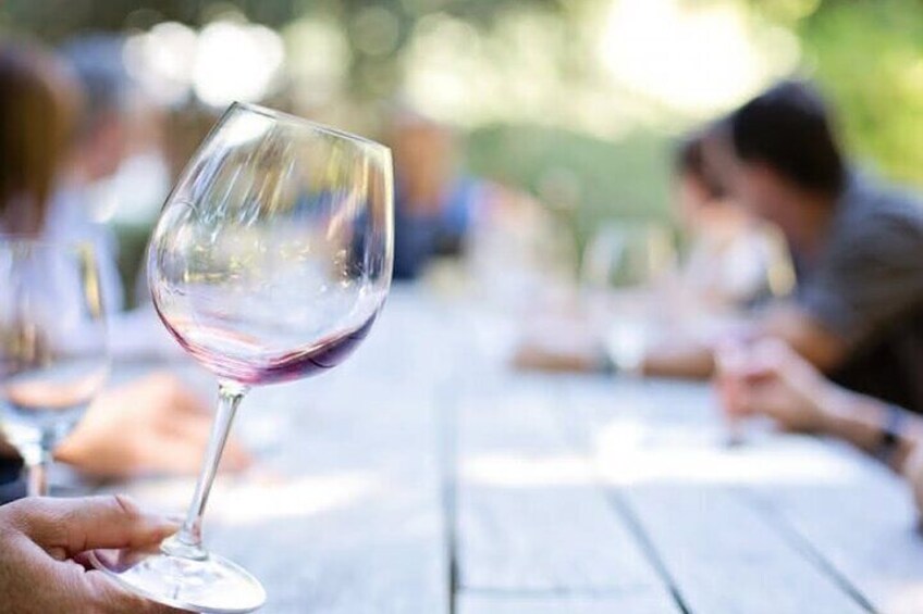 Médoc Wine Route Private Guided Day Tour with Luxury Picnic