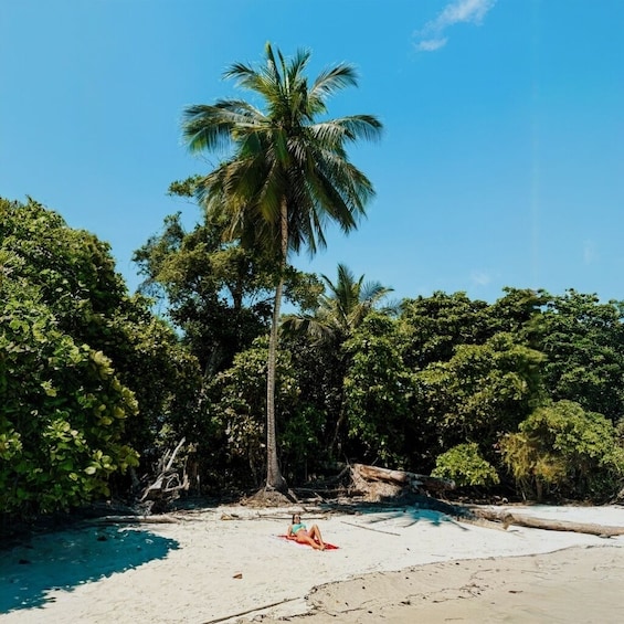 Manuel Antonio National Park from San José