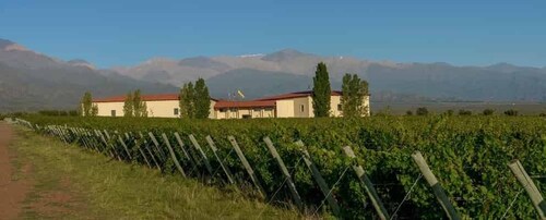 Tour of the Uco Valley