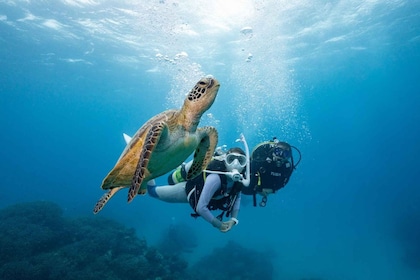 Zakynthos: Scuba Diving Experience with Underwater Photos